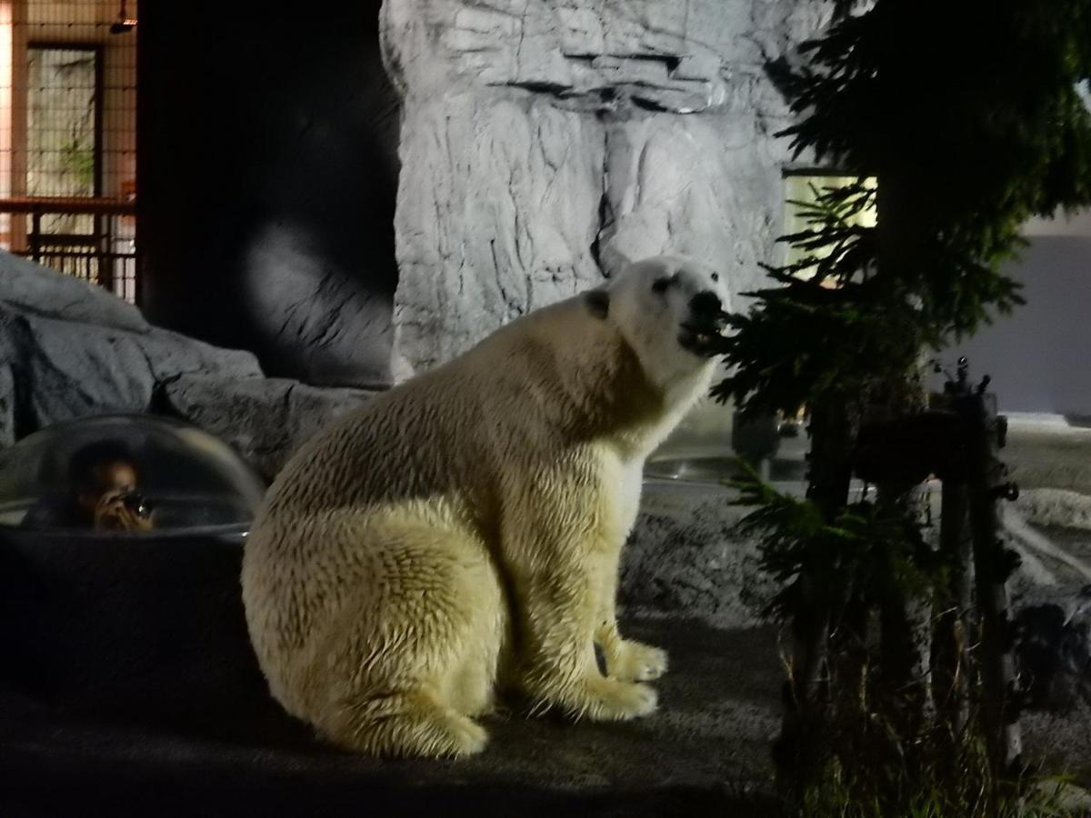 Stay In 末広 Asahikawa Nagayamacho エクステリア 写真