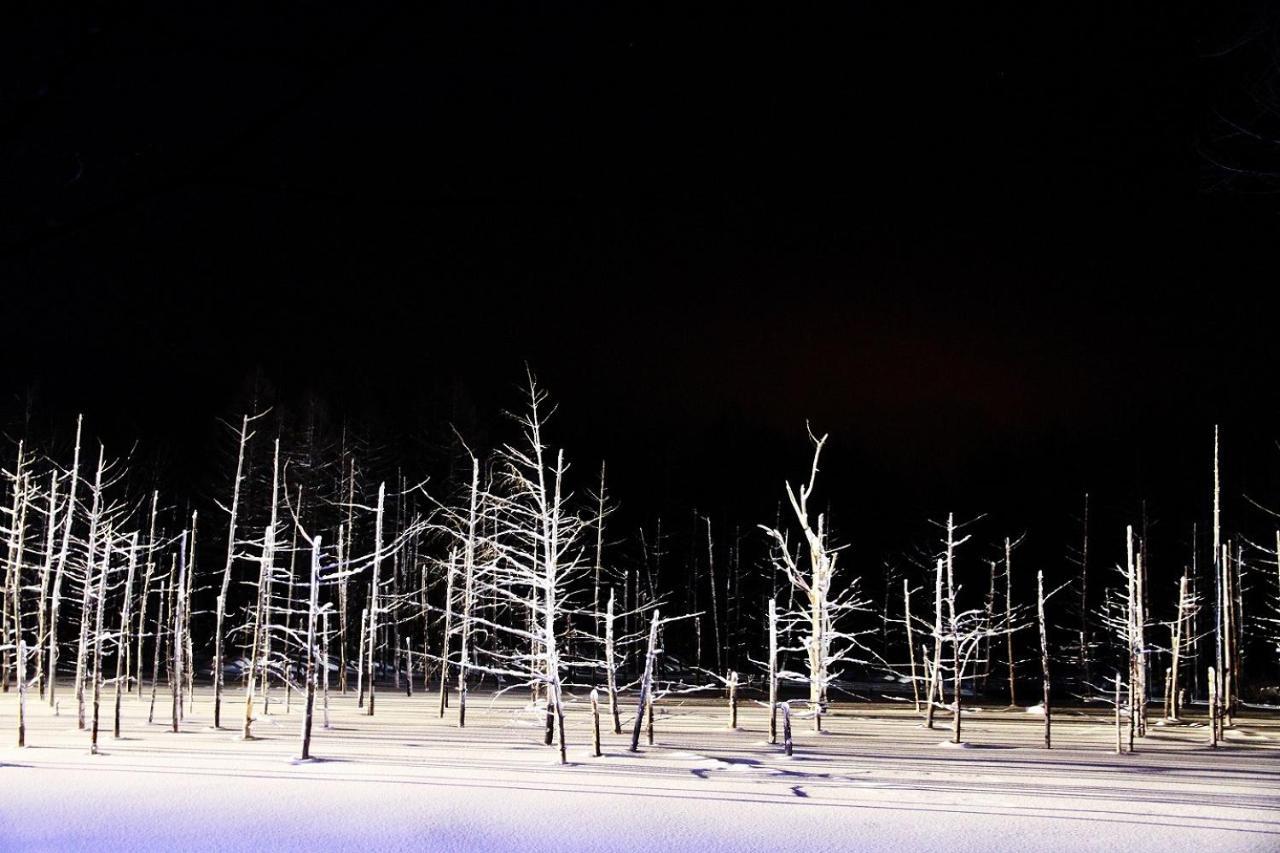 Stay In 末広 Asahikawa Nagayamacho エクステリア 写真